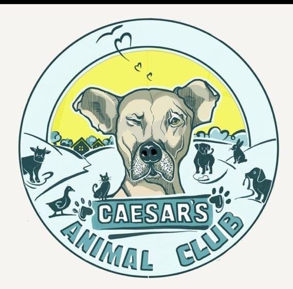 Caesar's Animal Club e.V. - Passend zu unserem leckeren Sonntagsrezept ...