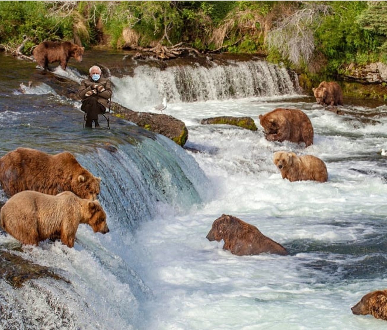 The Katmai Bear Cams are officially live for the summer. Now the real ...