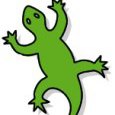 Lizard Label | Fairfield NJ