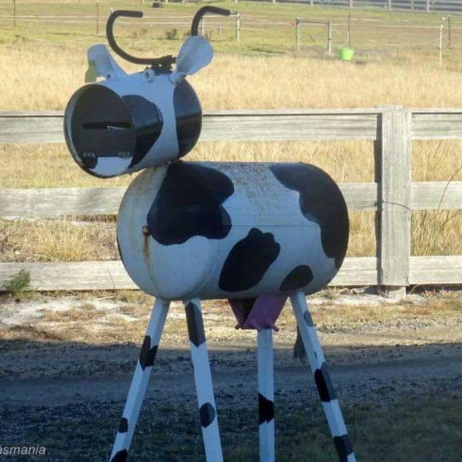 Cow Letterbox Binalong Bay Tasmania