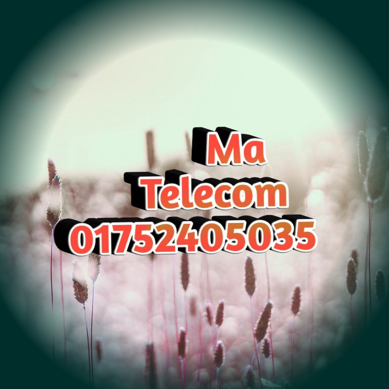 Ma Telecom
