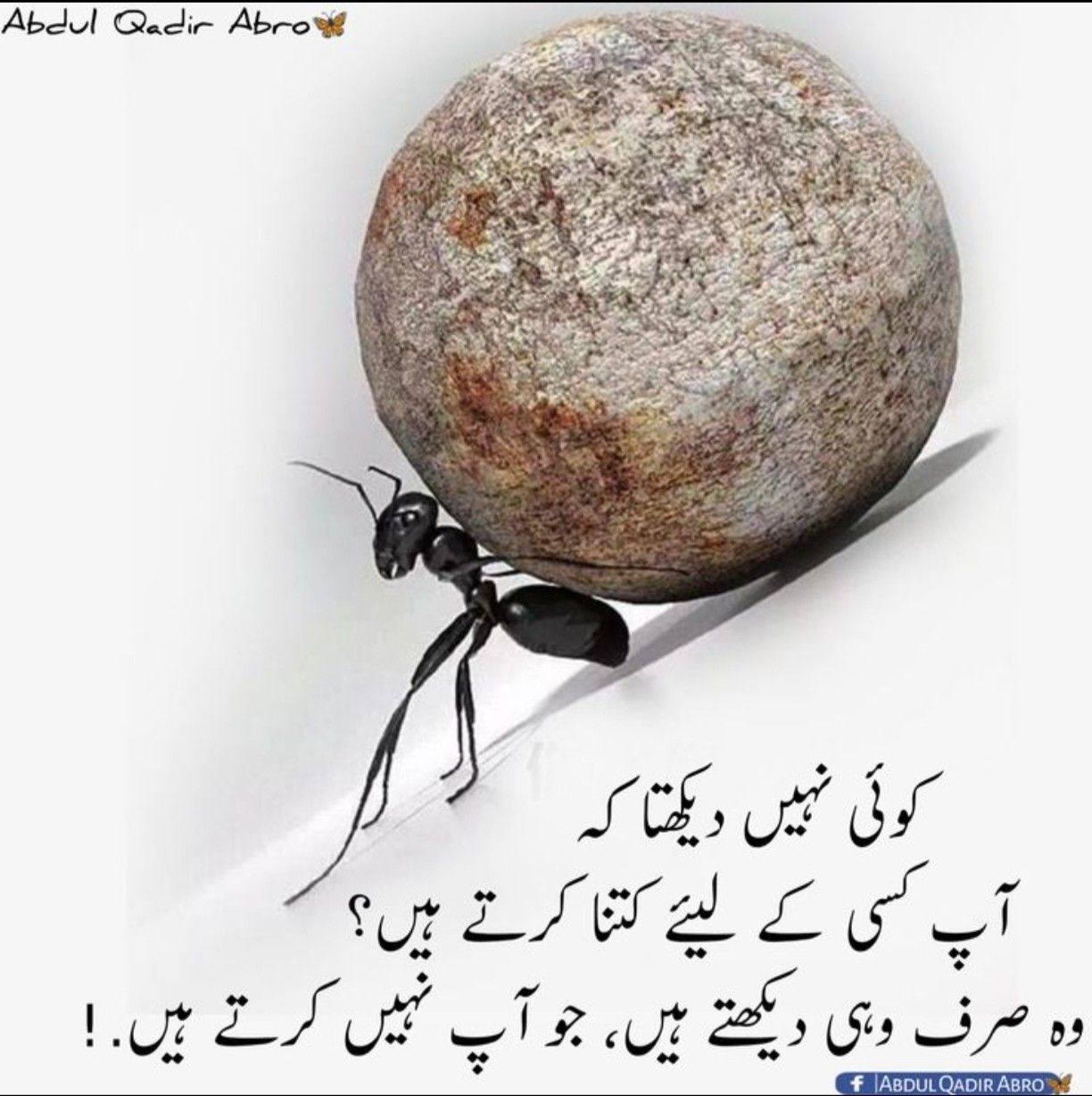 Sayim Shak