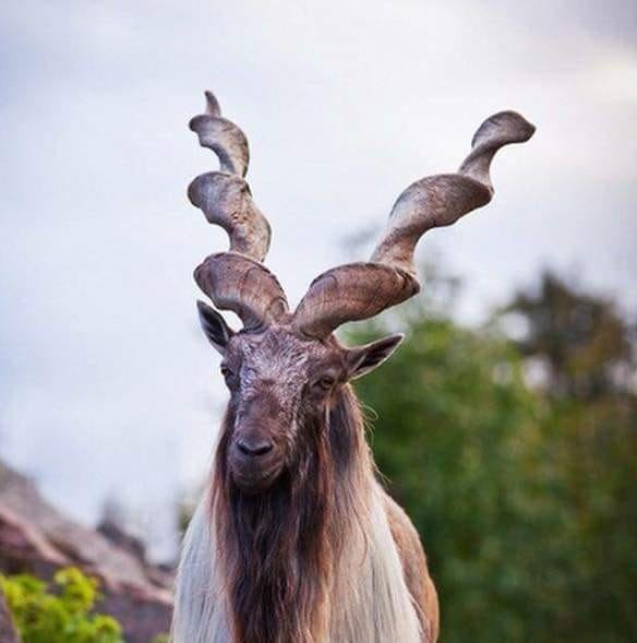 Natural beauty of Gilgit Baltistan | Gilgit