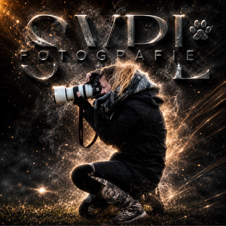 SVPL Fotografie & Design