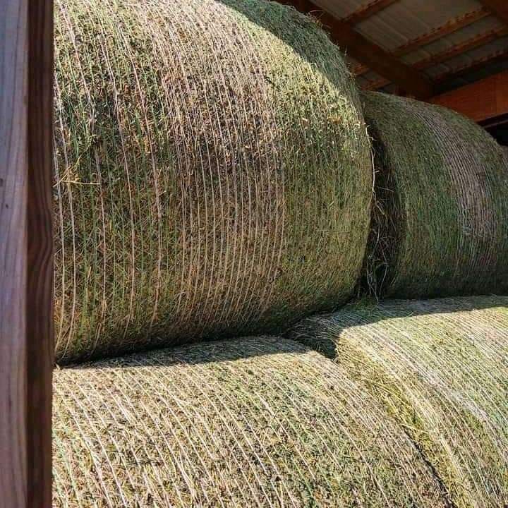 Edward's Super Quality Hay