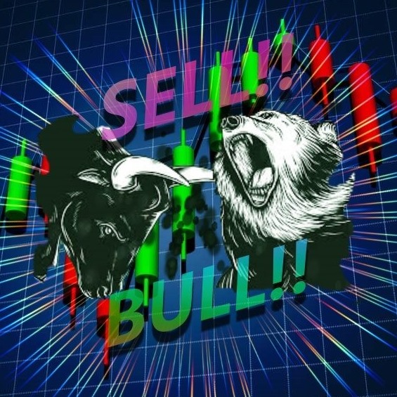 Stylo / Trader