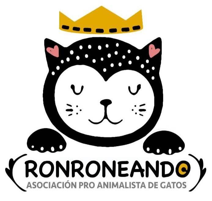 Asociación Ronroneando | San Clemente