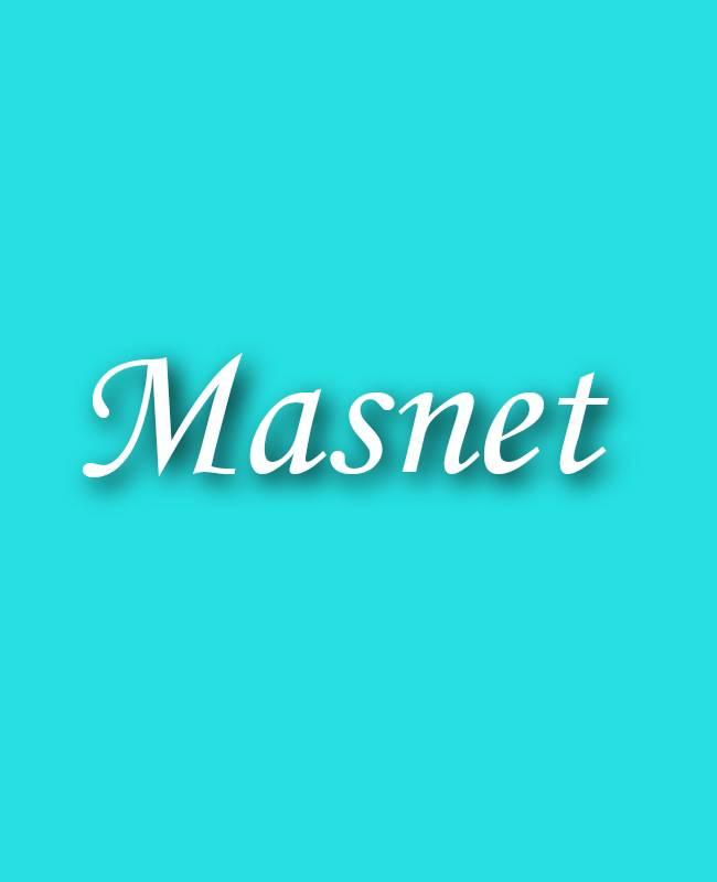 Masnet
