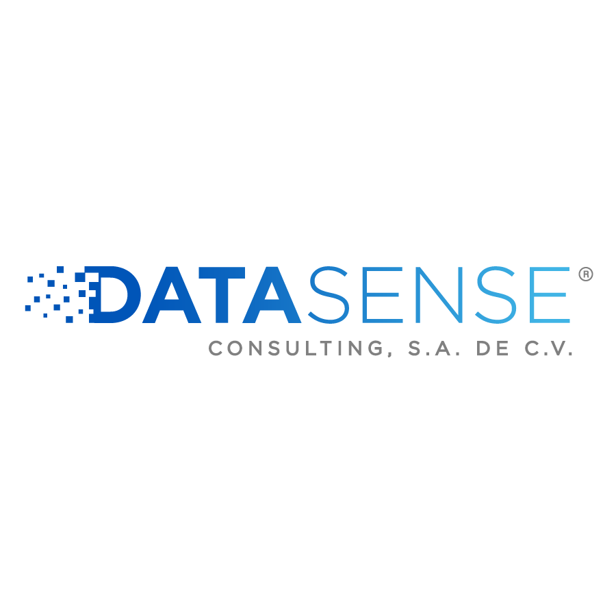 Data Sense Consulting