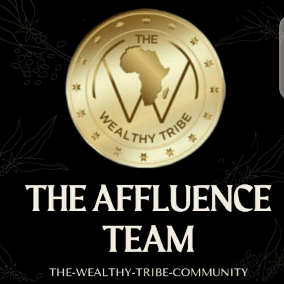 The Affluence Team