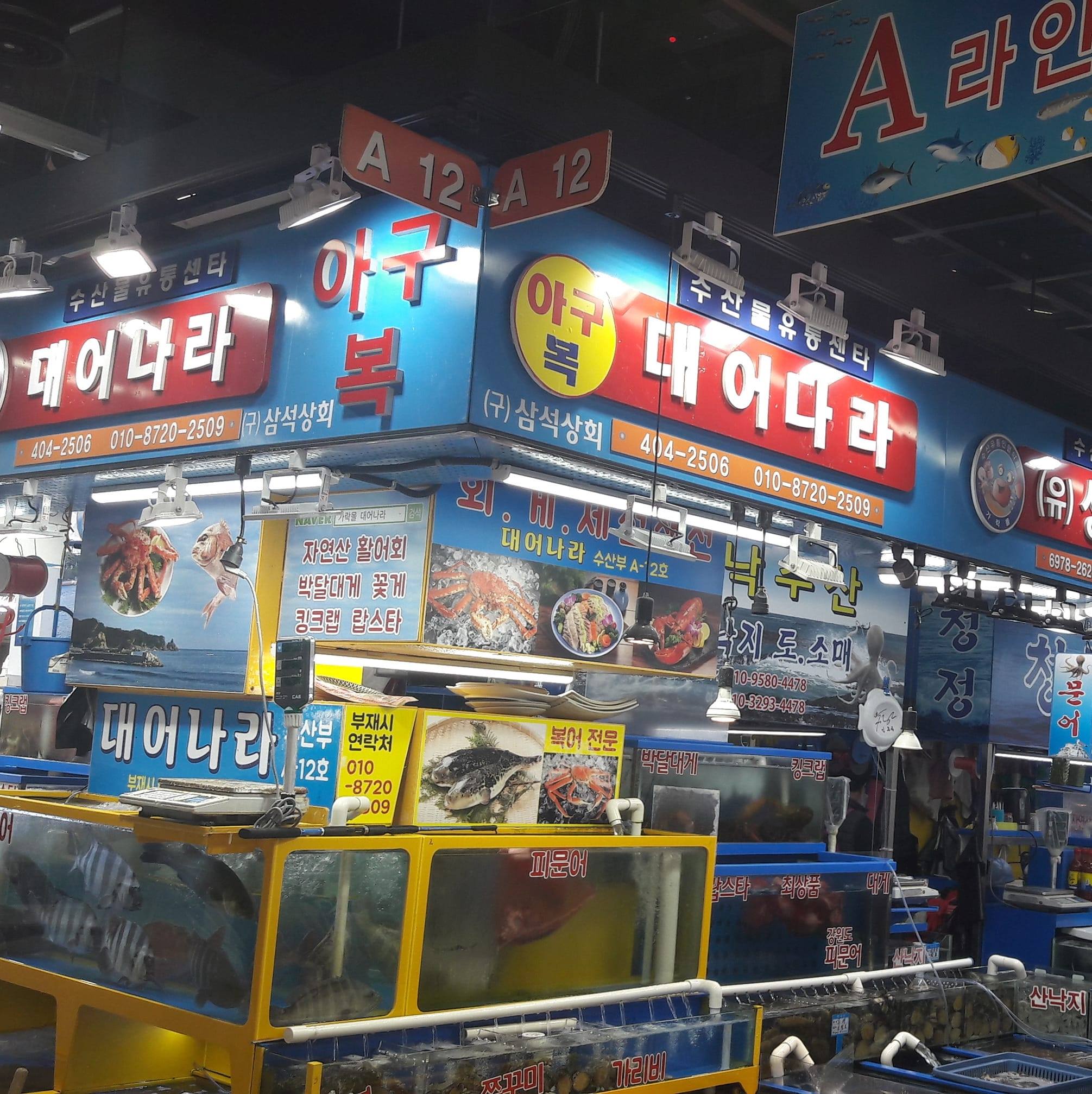 대어나라