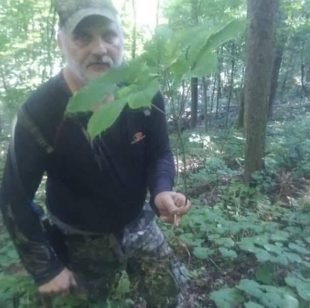 root diggers and foragers | Does gensing have a smell to it | Facebook