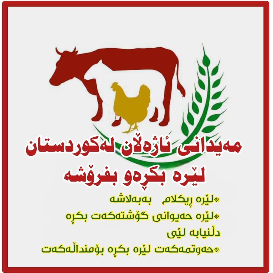 مەی دانی ئاژەڵان لەڪوردوستان لیرە بکڕەوبفرۆشە