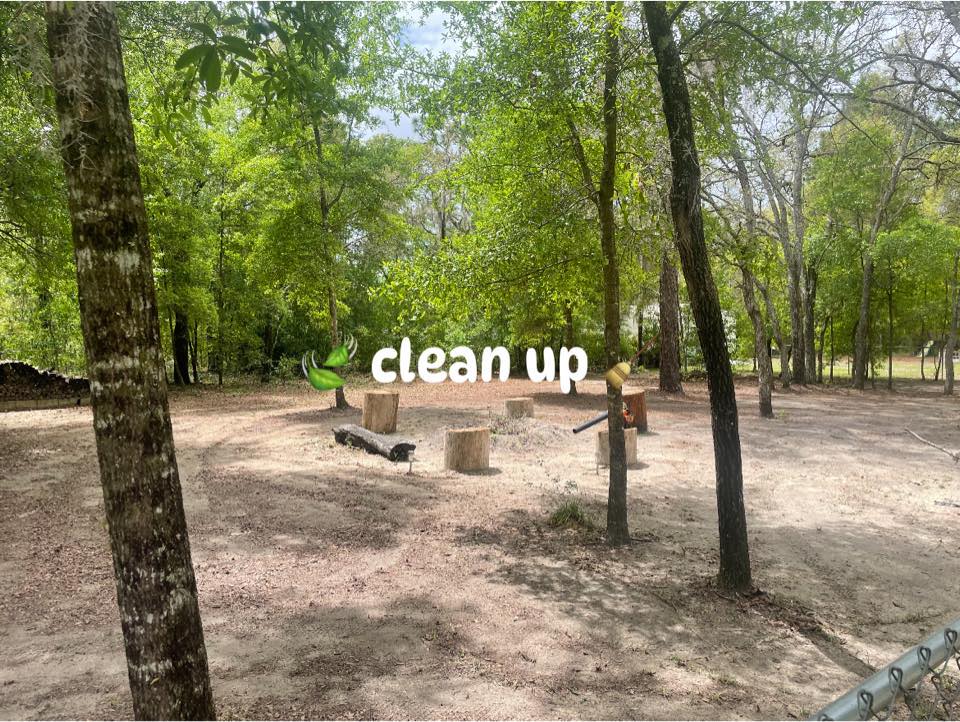 Ocala's Official Word of Mouth | Best tree removal companies that ...