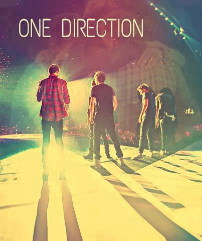Peut-on rassembler 10.000 Directioners qui soutiennent les One Direction