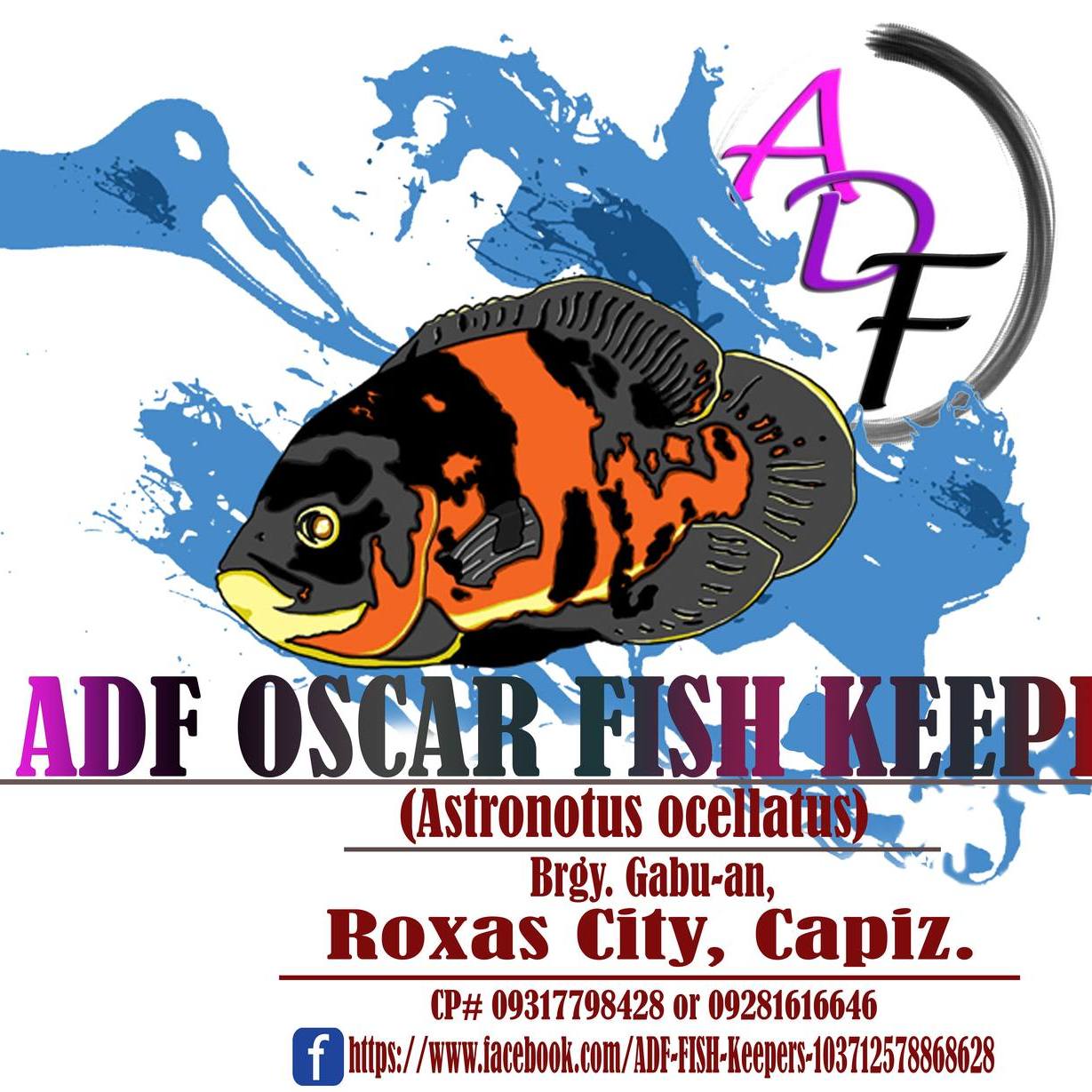 ADF FISH Keepers