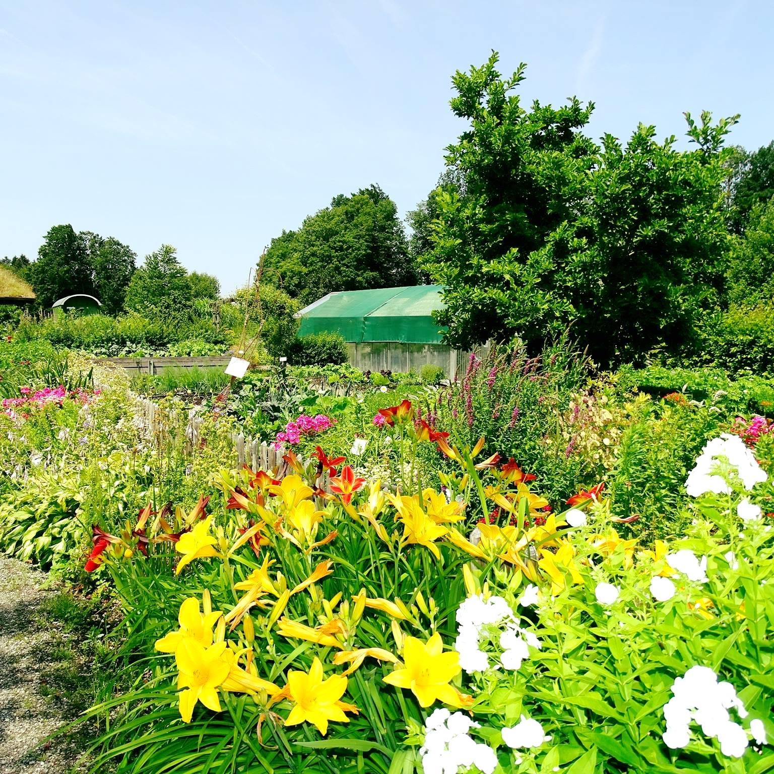 Gartenbauverein Betzigau