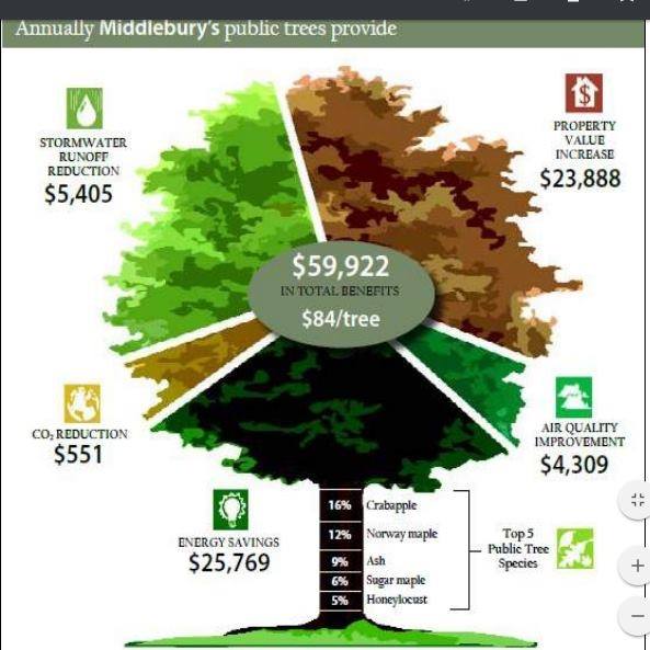 Middlebury Tree Committee