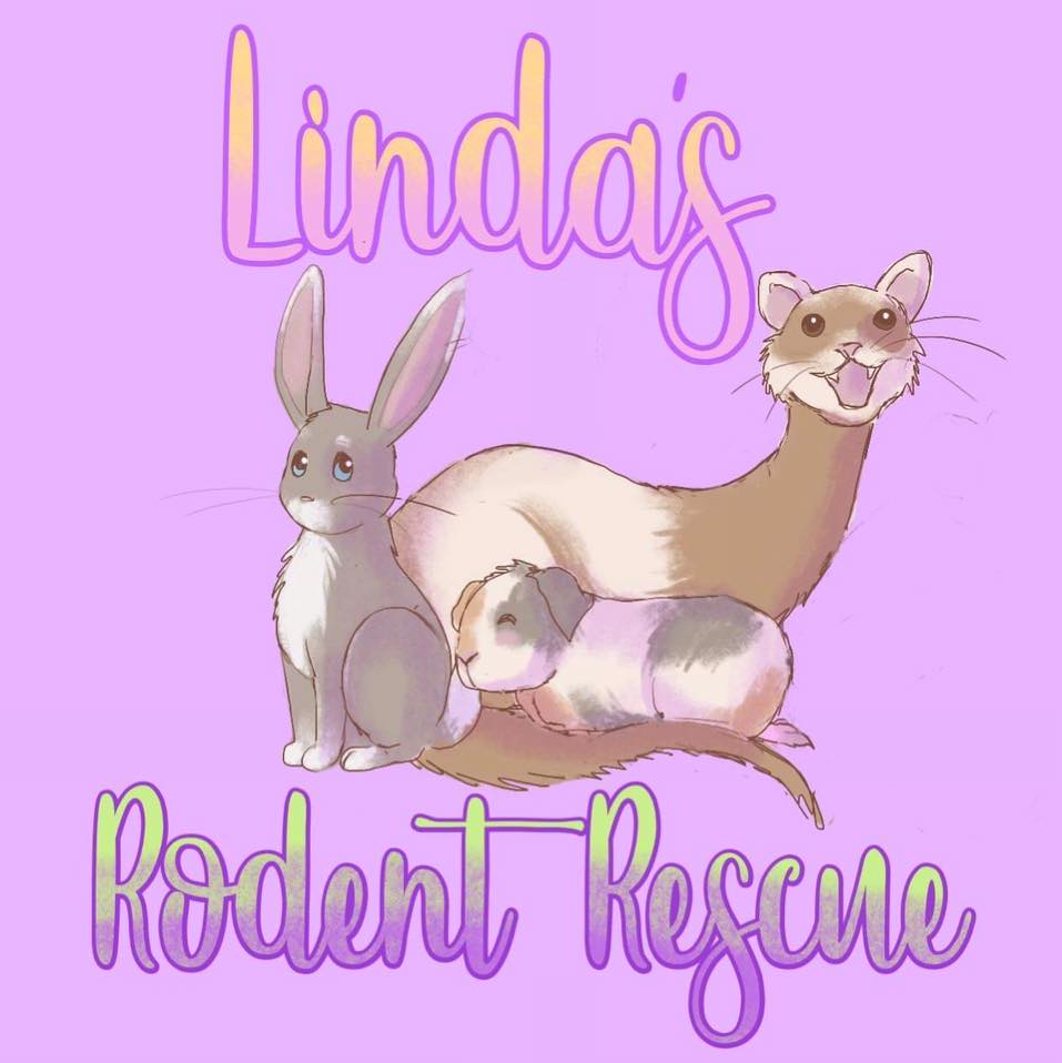 Linda’s Rodent Rescue