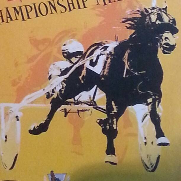 Irish harness racing