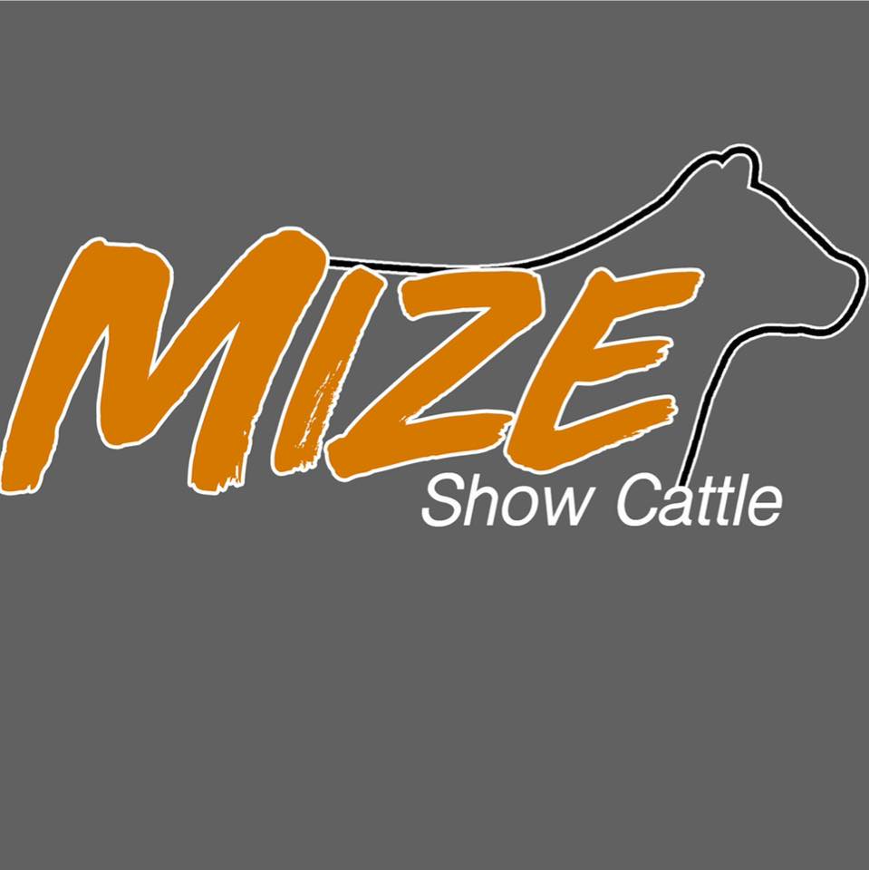 Mize Show Cattle | North Manchester IN