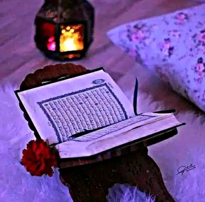 زول غيور زول غيور