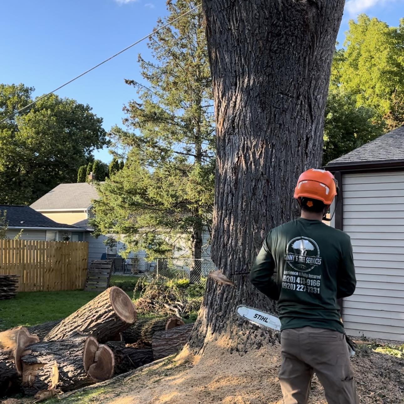 Danny's Tree Services • Tree Removal • Trimming • Stump Grinding ...