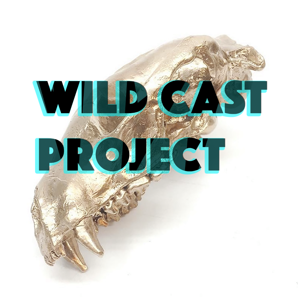 Wild Cast Project