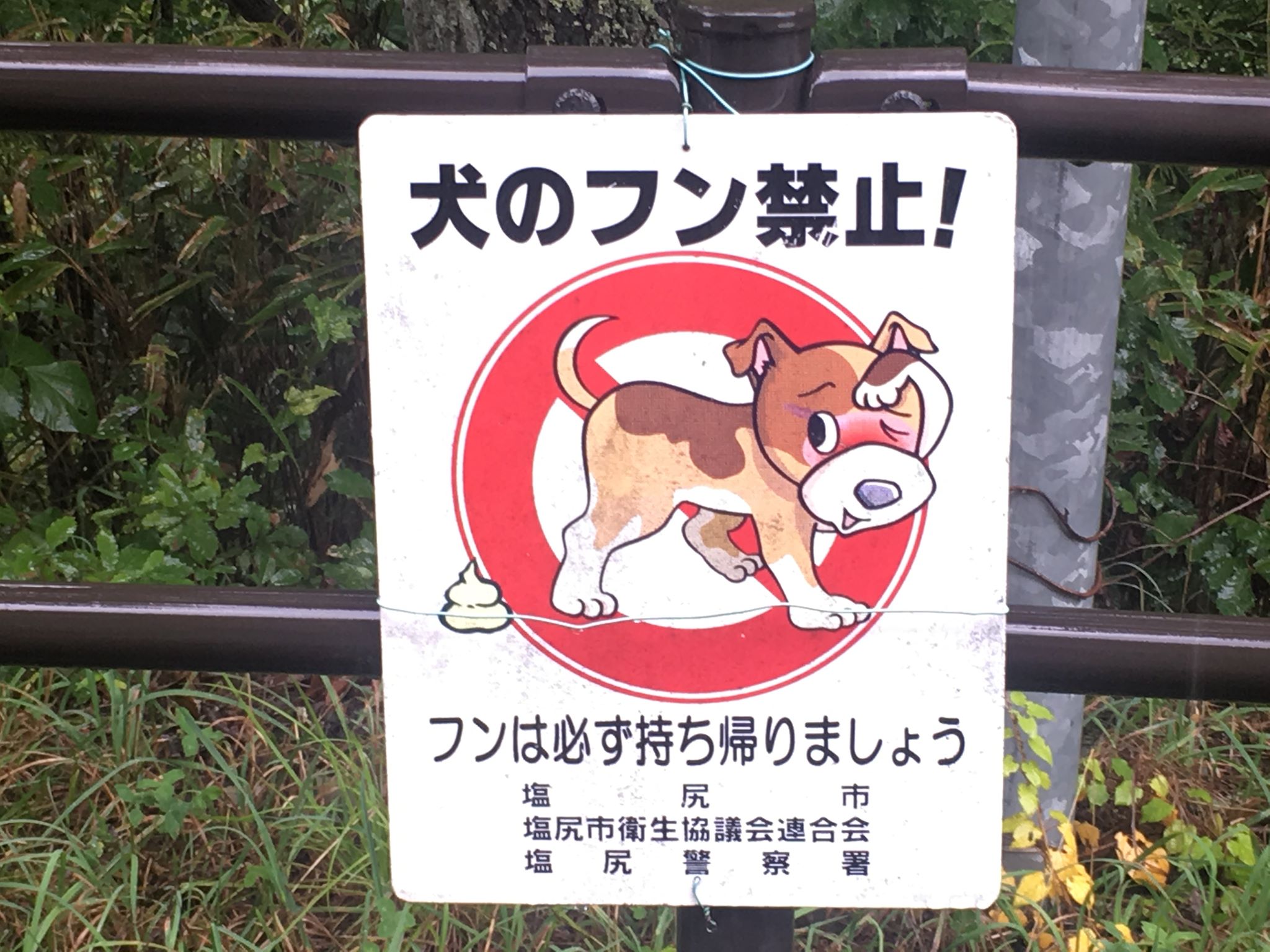 The Poopy Dog Signs in Japan