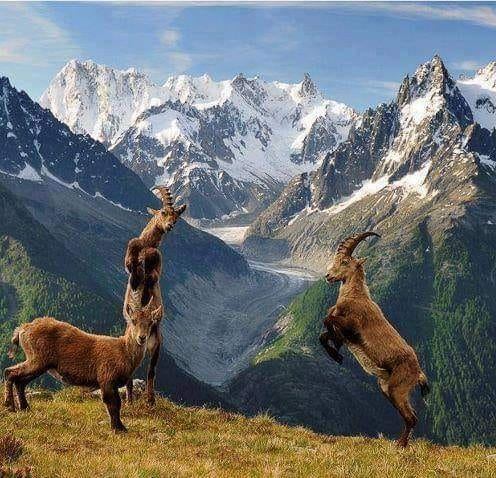 Gilgit Baltistan Builders