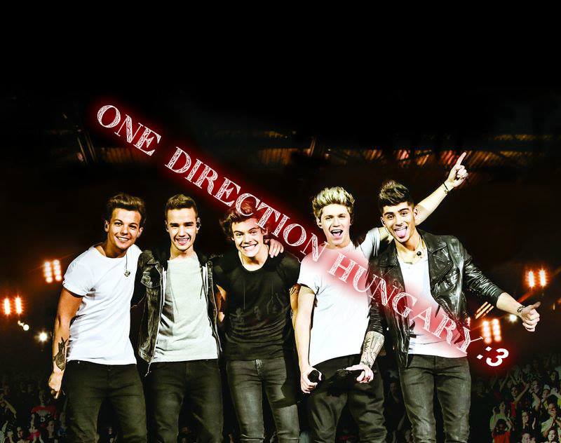 One Direction Hungary..:$