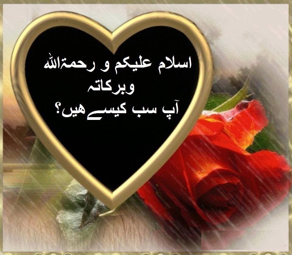 Urdu malumat