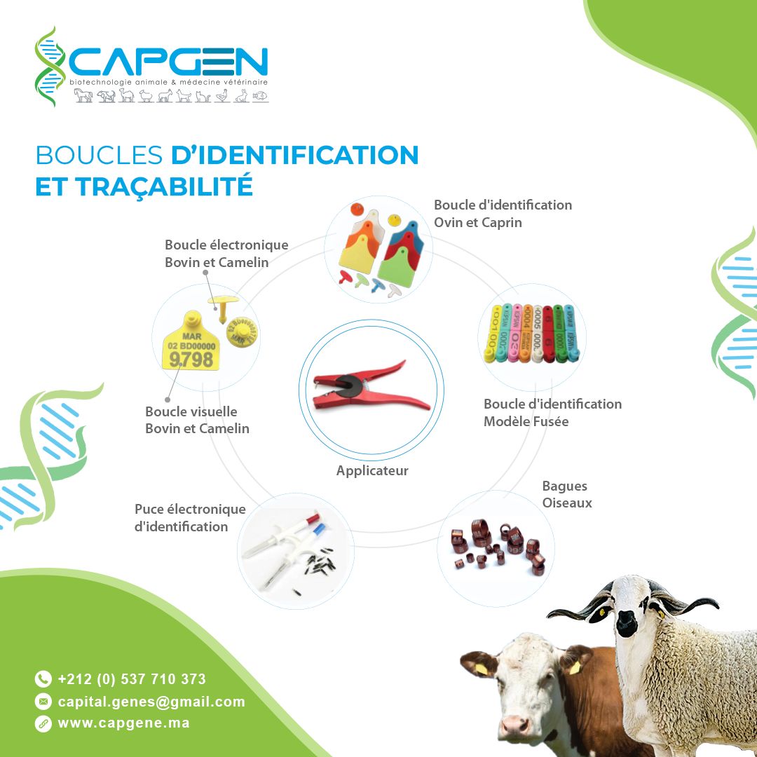 Capgen Capital Genes | Rabat
