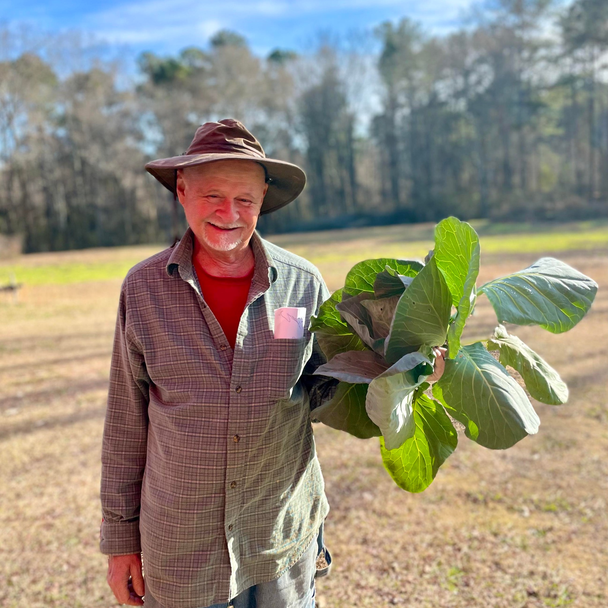 Chapman Farms, GA