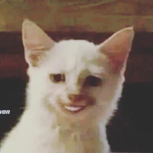 Qyy - Saya na ikut #meme | Facebook