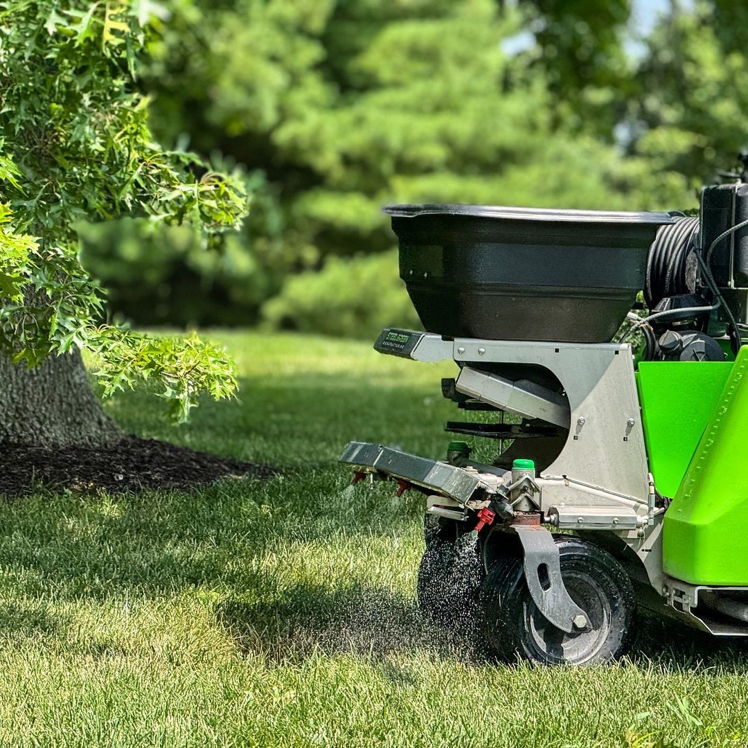 Common Lawn Problems in Missouri