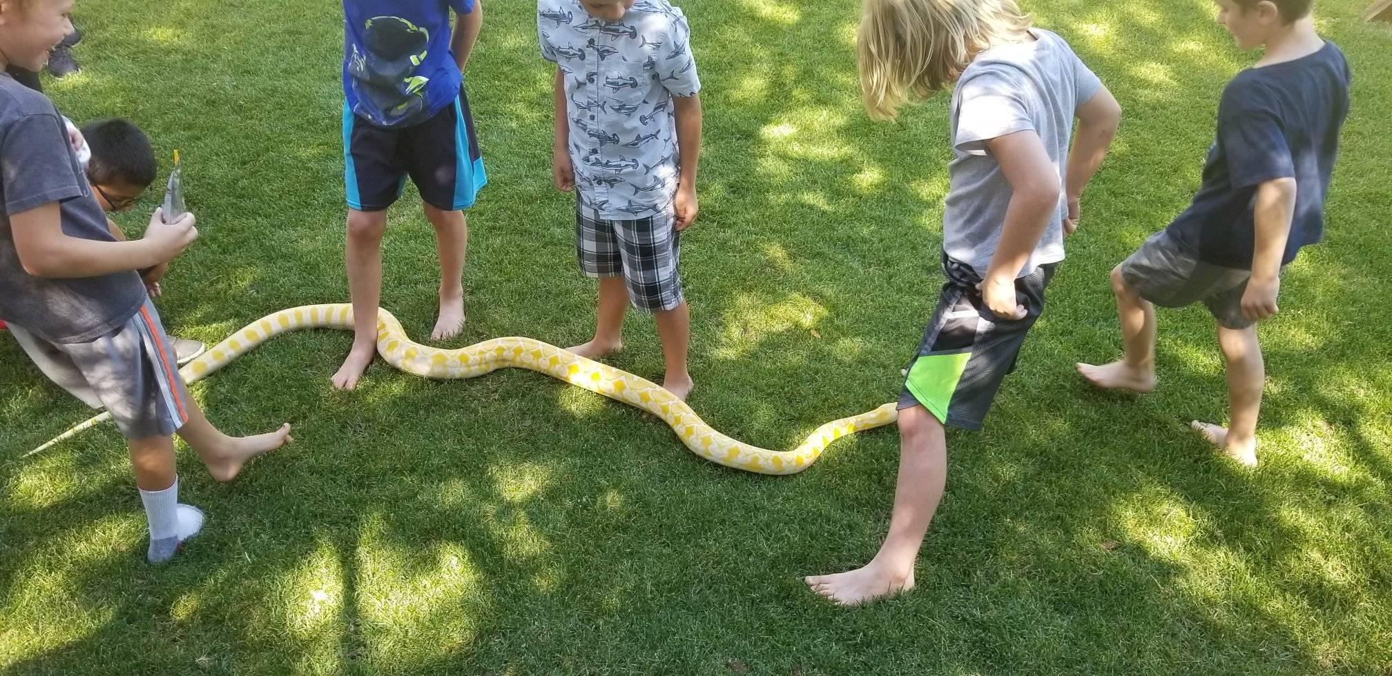We have found homes for several... - Righteous Reptile Rescue | Facebook