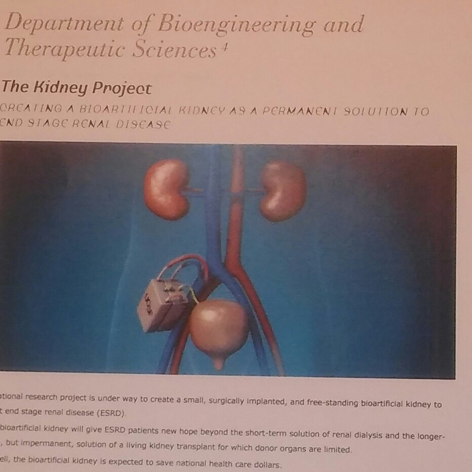 Bionic kidney will end kidney disease