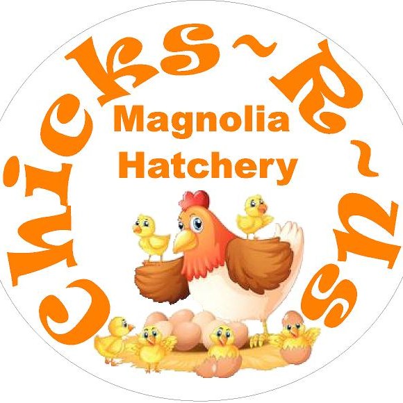 Chicks R Us Magnolia Hatchery | Tishomingo MS