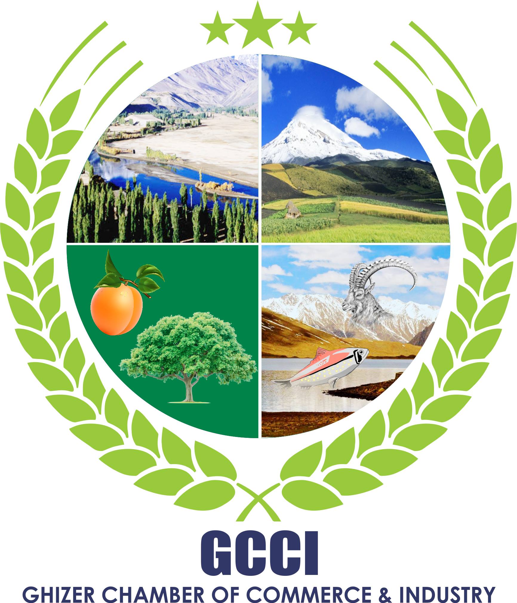 Ghizer Chamber of Commerce and Industry | Gilgit