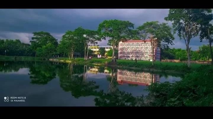 Sayed Rajib