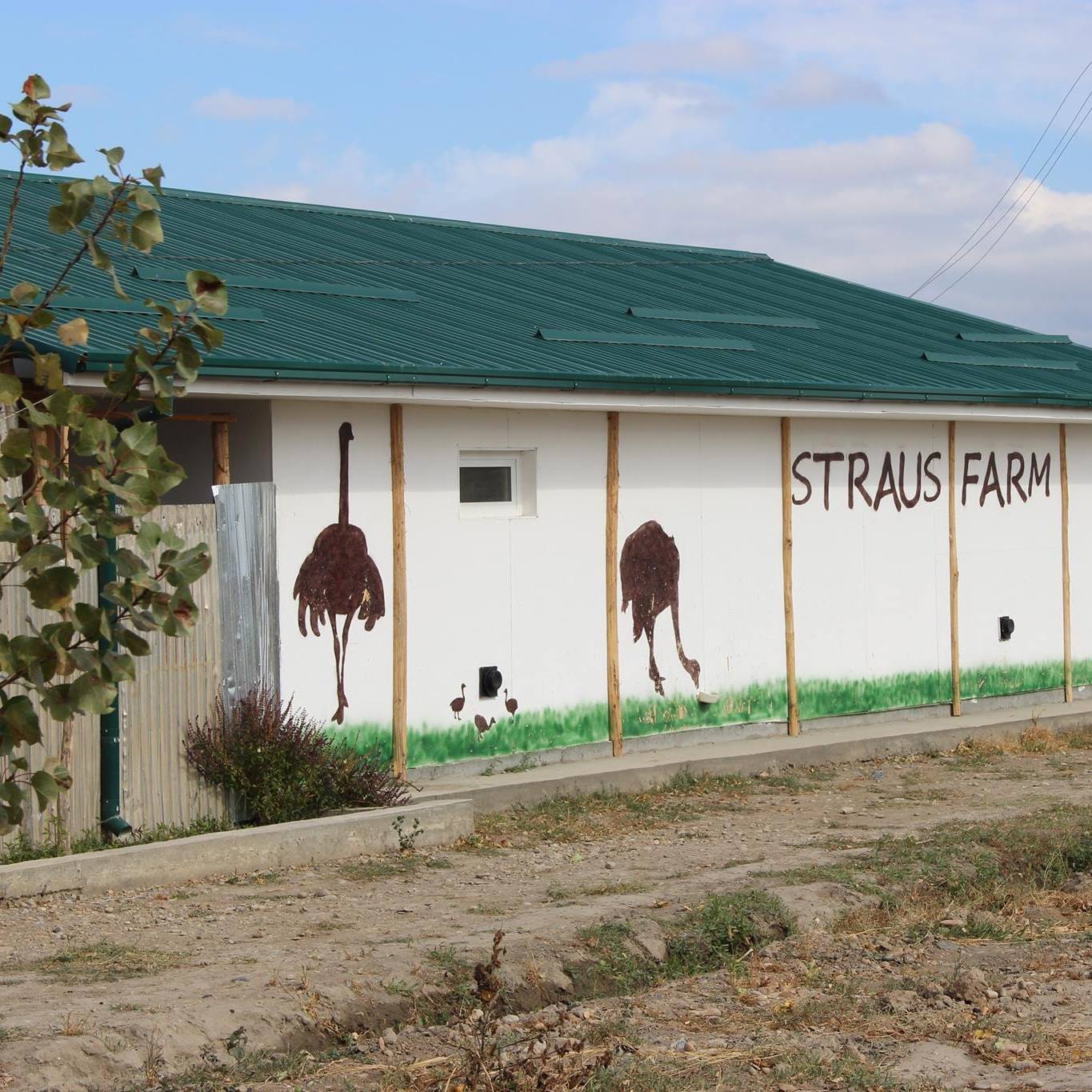Straus Farm | Rishton
