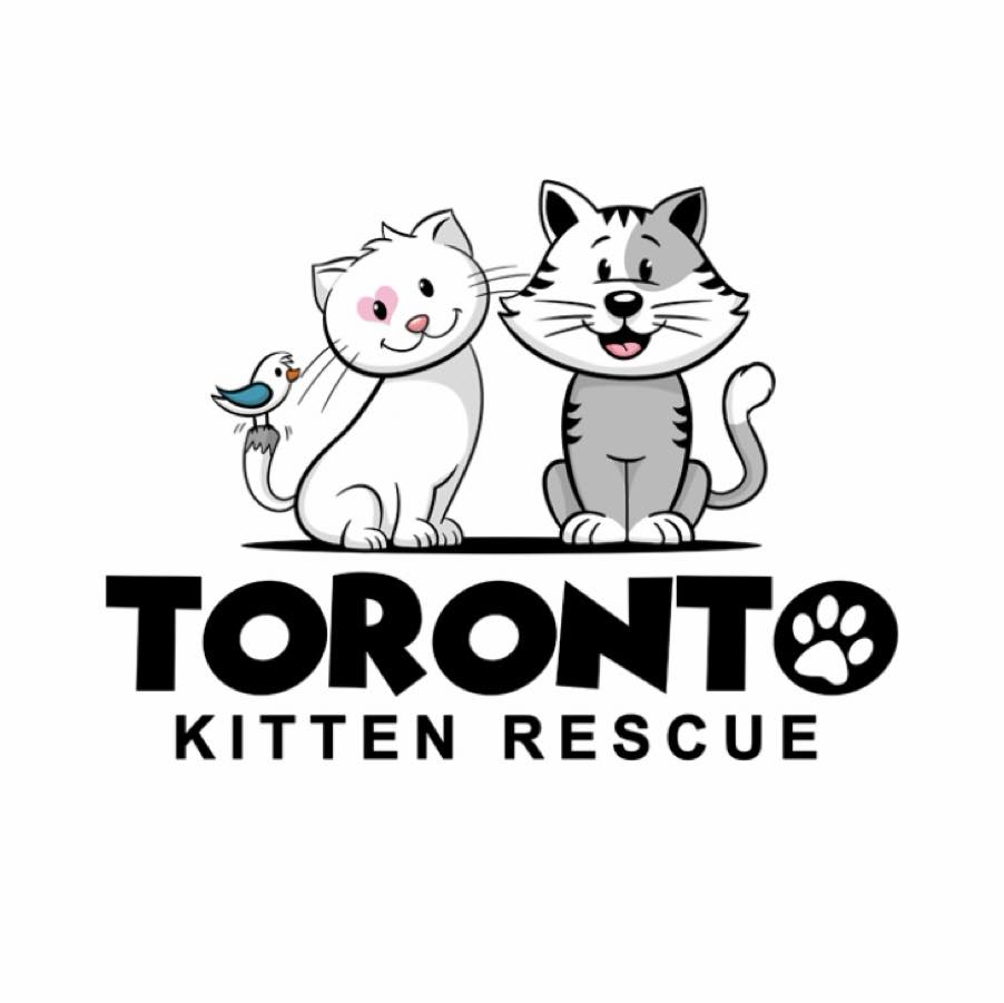 Toronto Kitten Rescue