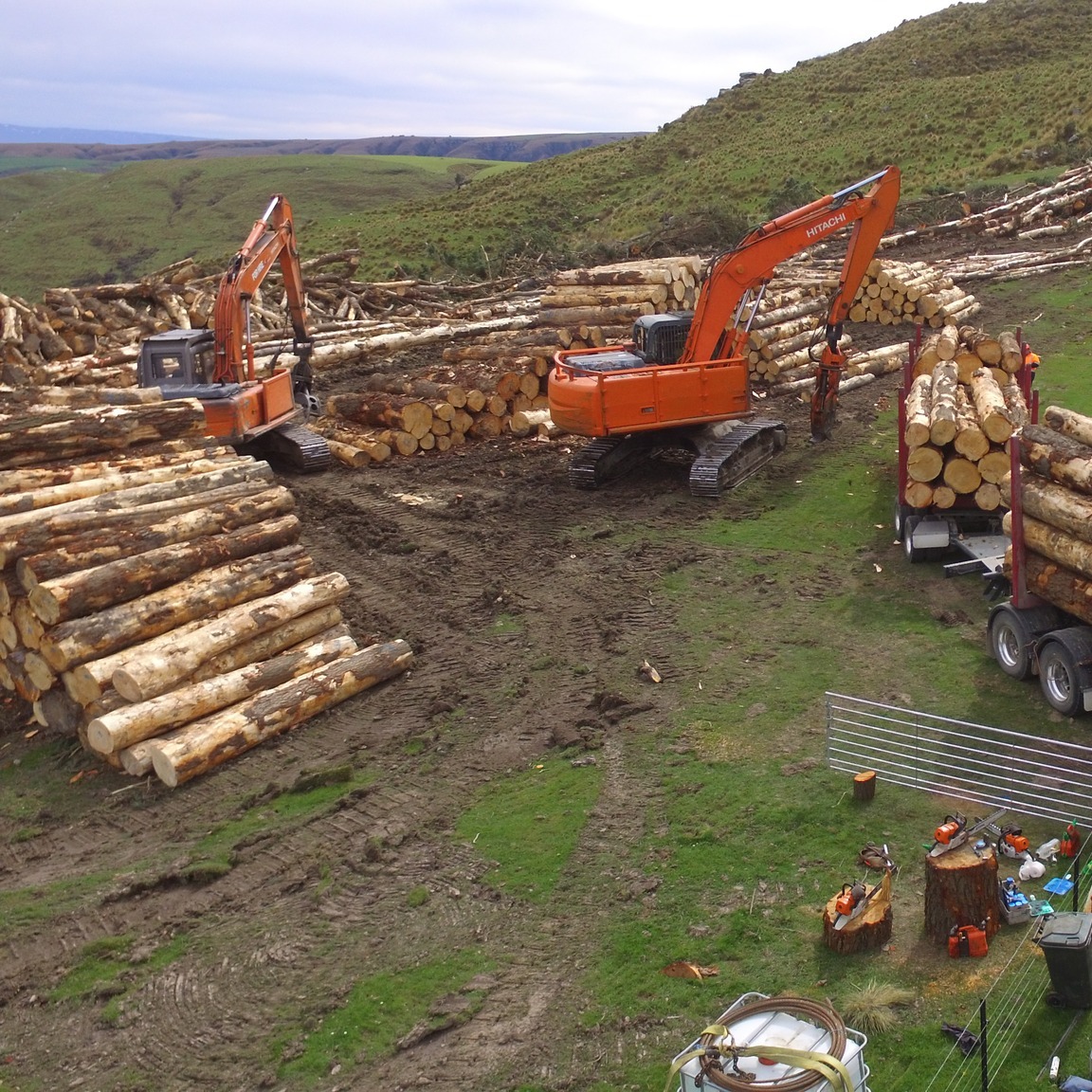 DC Logging Ltd | Dunedin