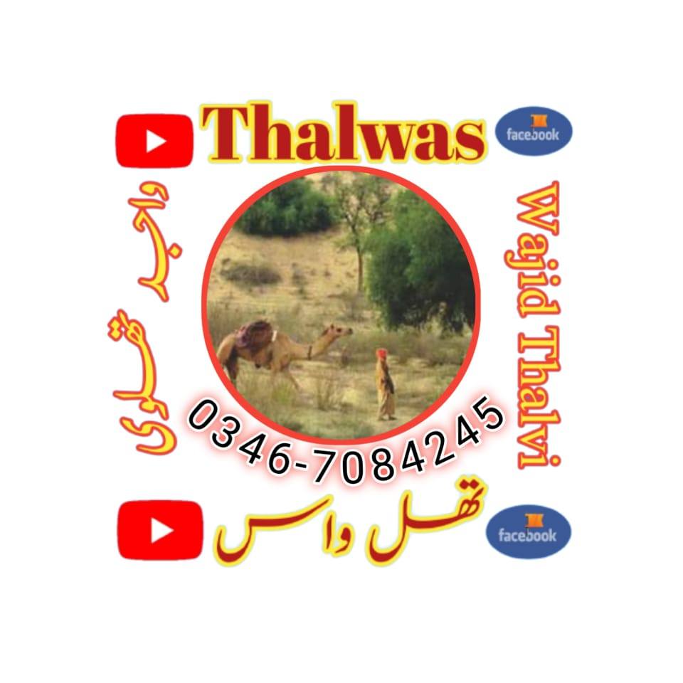 واجدؔ تھلوی | Kot Addu