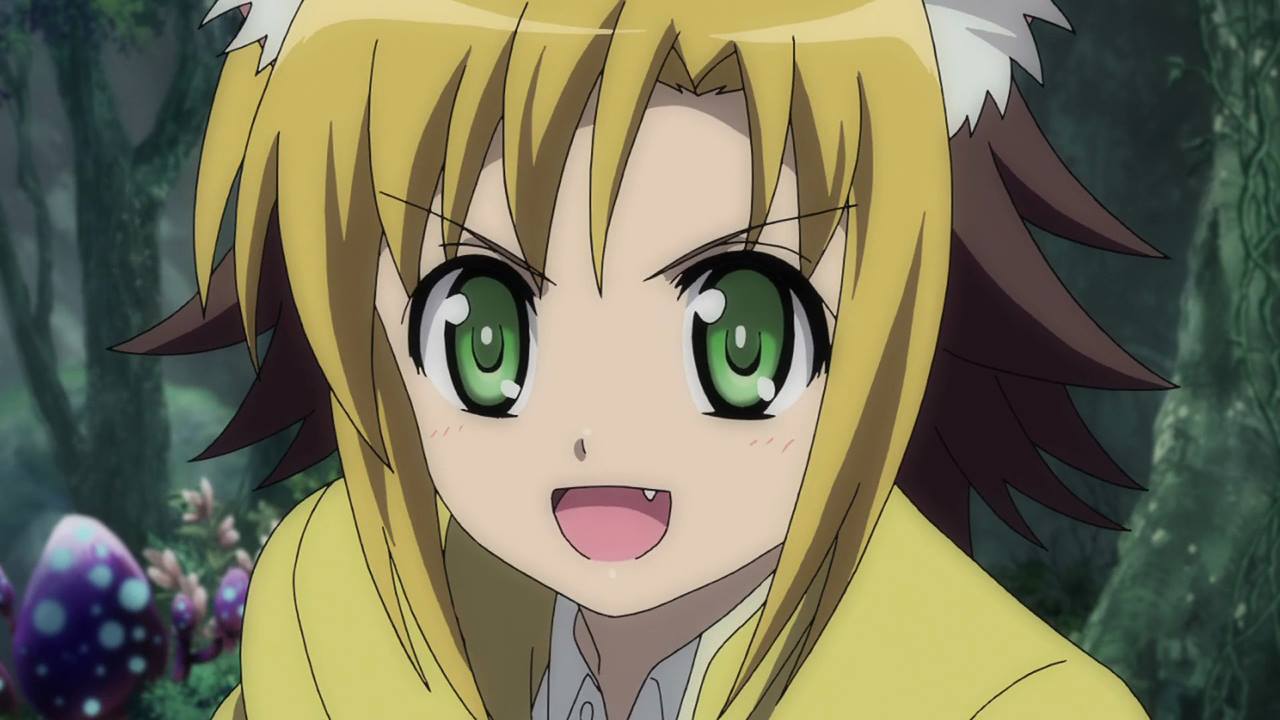 ドッグデイズ (Doggu Deizu) Dog-Days