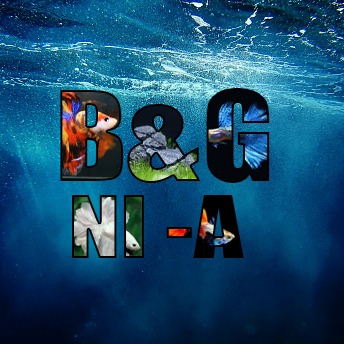 Betta & Guppy Ni A | Mabalacat