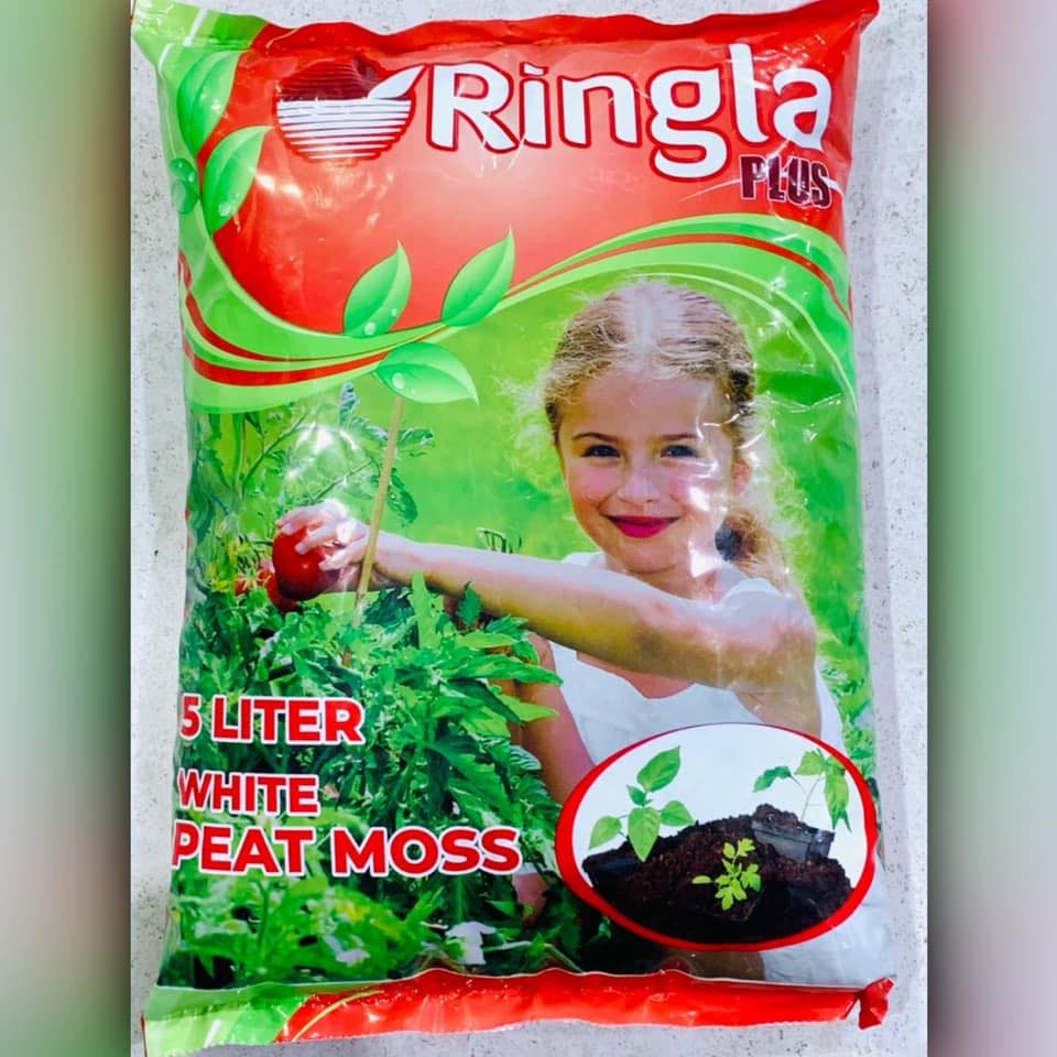 بتموس ringla