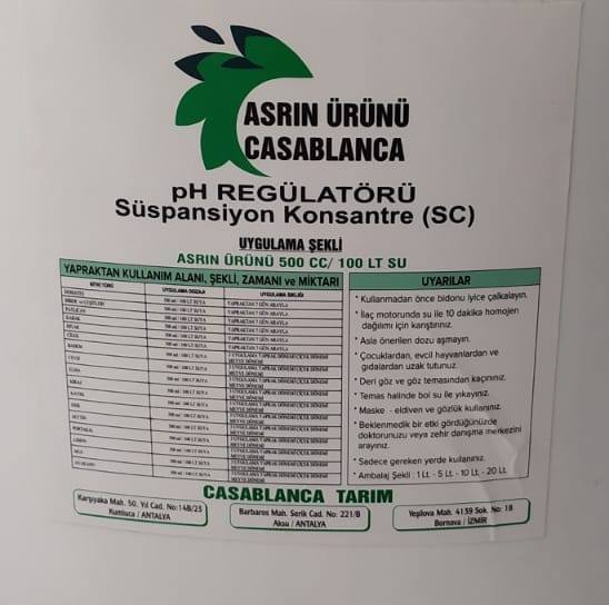 Asrin Ürünü Casablanca | Antalya