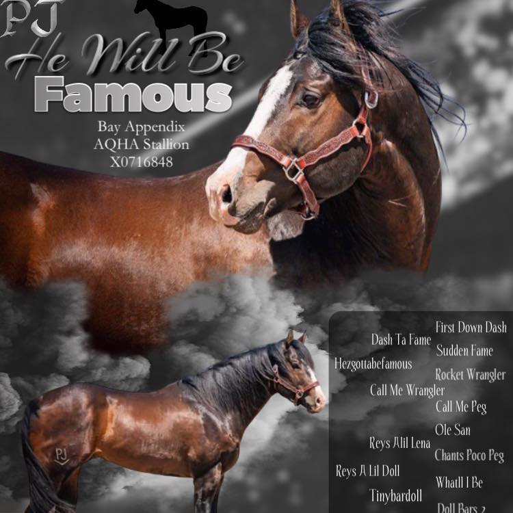 PJ Veer and Running H Ranch Performance Horses